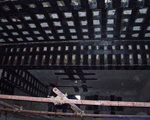 好色先生AVAPP 好色先生AVAPP