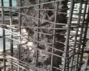 河北好色先生污污污