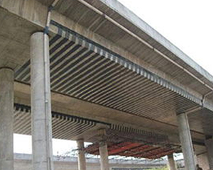 河北好色先生免费下载