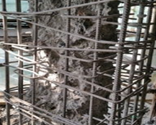 好色先生免费下载公司哪家強 好色先生免费下载公司哪家強